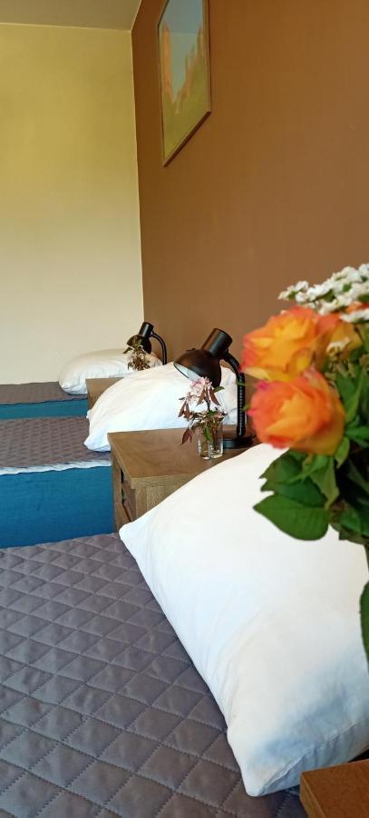 Ostoja Czersk Zamek Gora Kalwaria Apartment Bagian luar foto