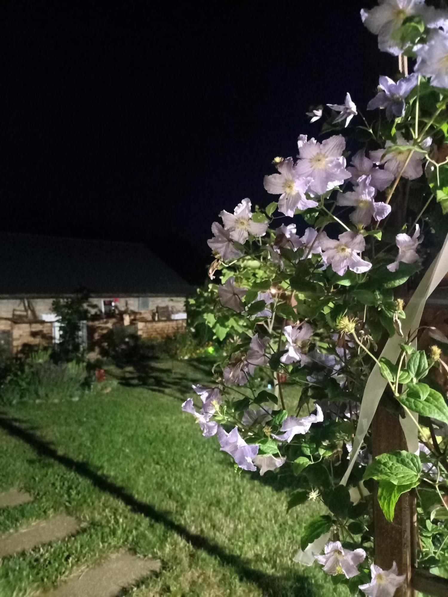 Ostoja Czersk Zamek Gora Kalwaria Apartment Bagian luar foto