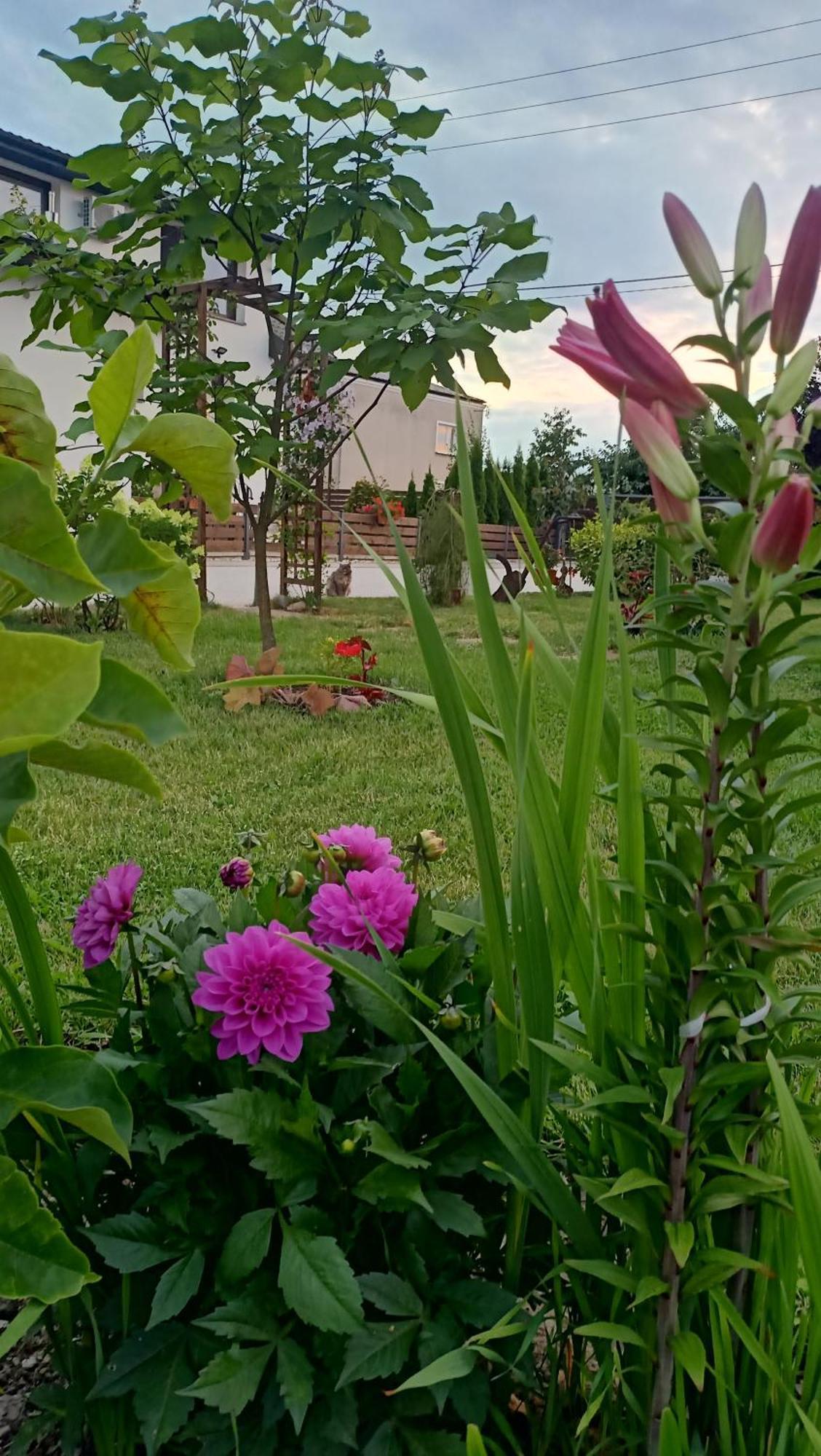 Ostoja Czersk Zamek Gora Kalwaria Apartment Bagian luar foto