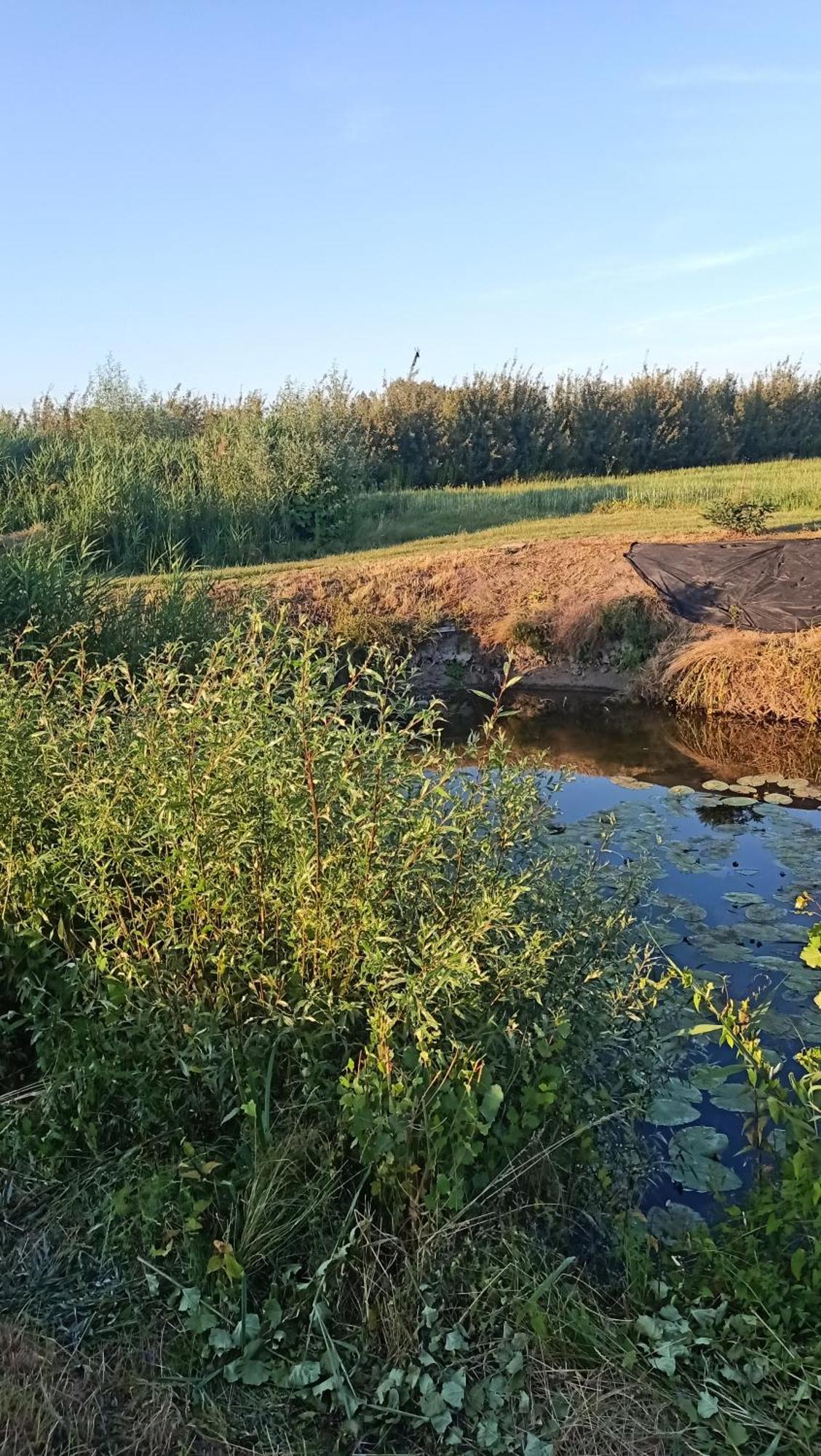 Ostoja Czersk Zamek Gora Kalwaria Apartment Bagian luar foto