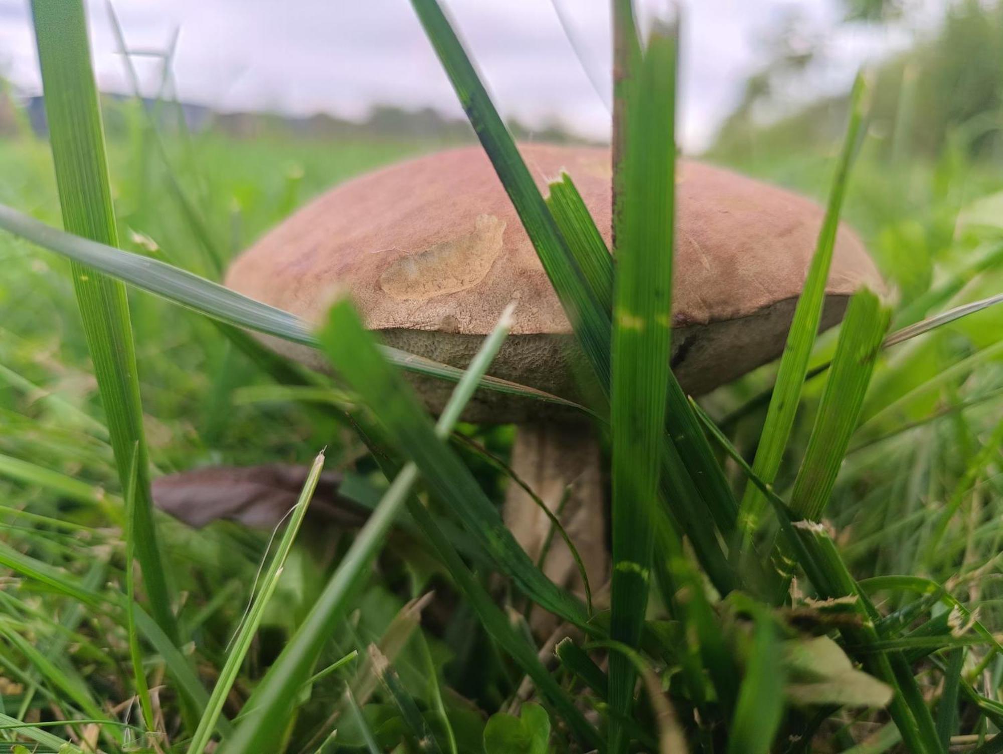 Ostoja Czersk Zamek Gora Kalwaria Apartment Bagian luar foto